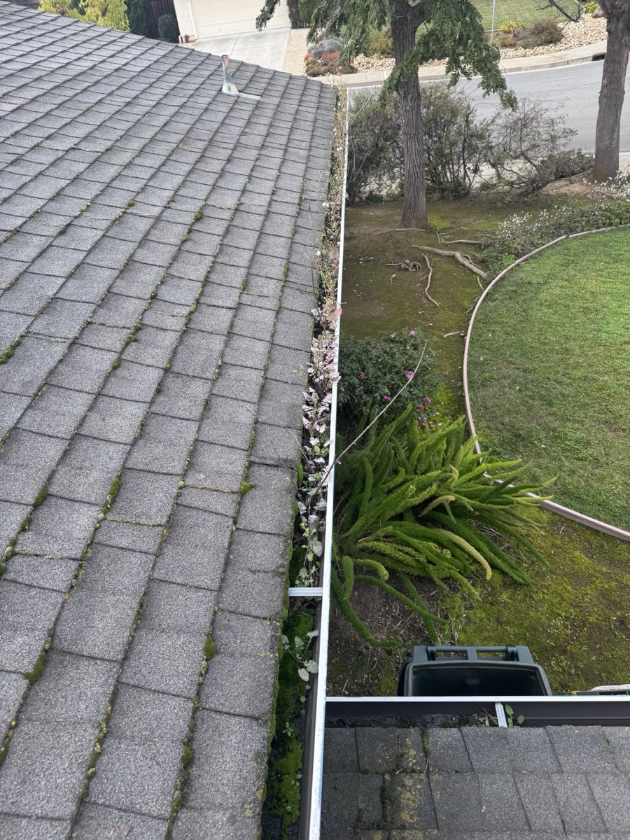 Gutters packed with leaves before cleaning — Cupertino CA job