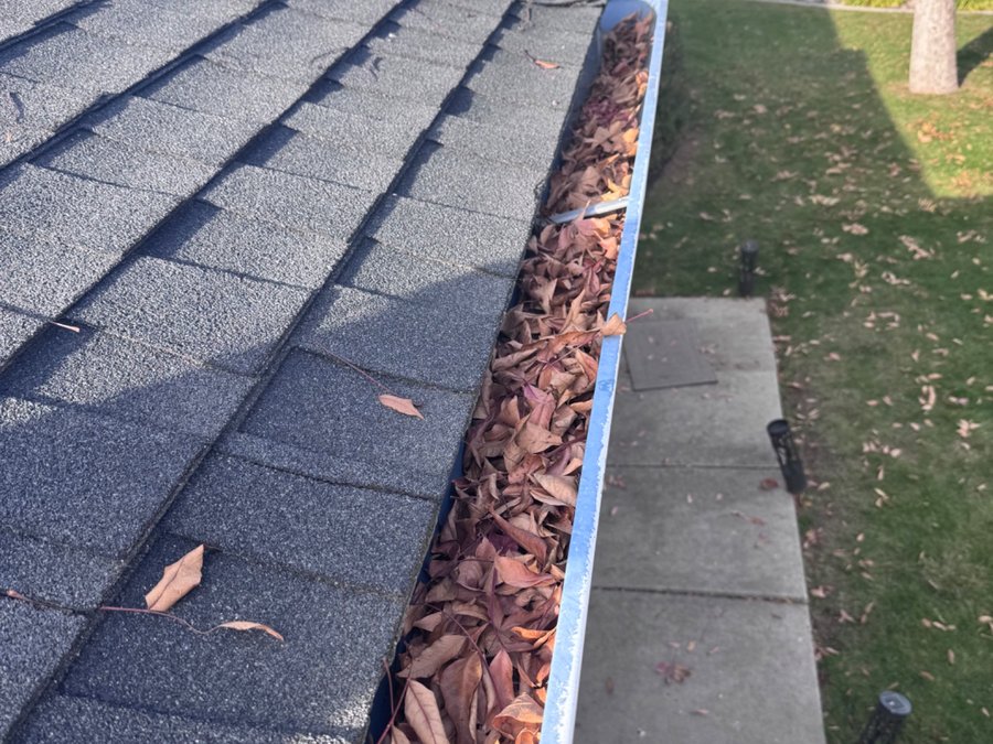 Gutters packed with leaves before cleaning — San Jose CA job