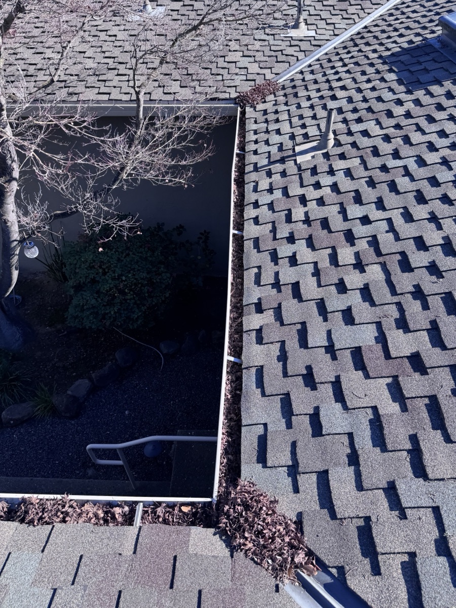 Gutters packed with leaves before cleaning — Hollister CA job