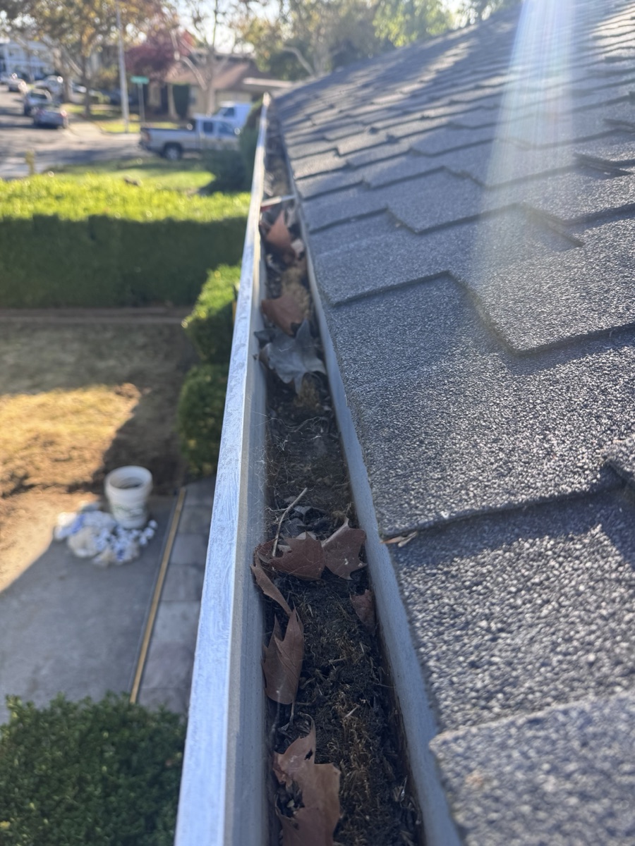 Gutters packed with leaves before cleaning — Morgan Hill CA job