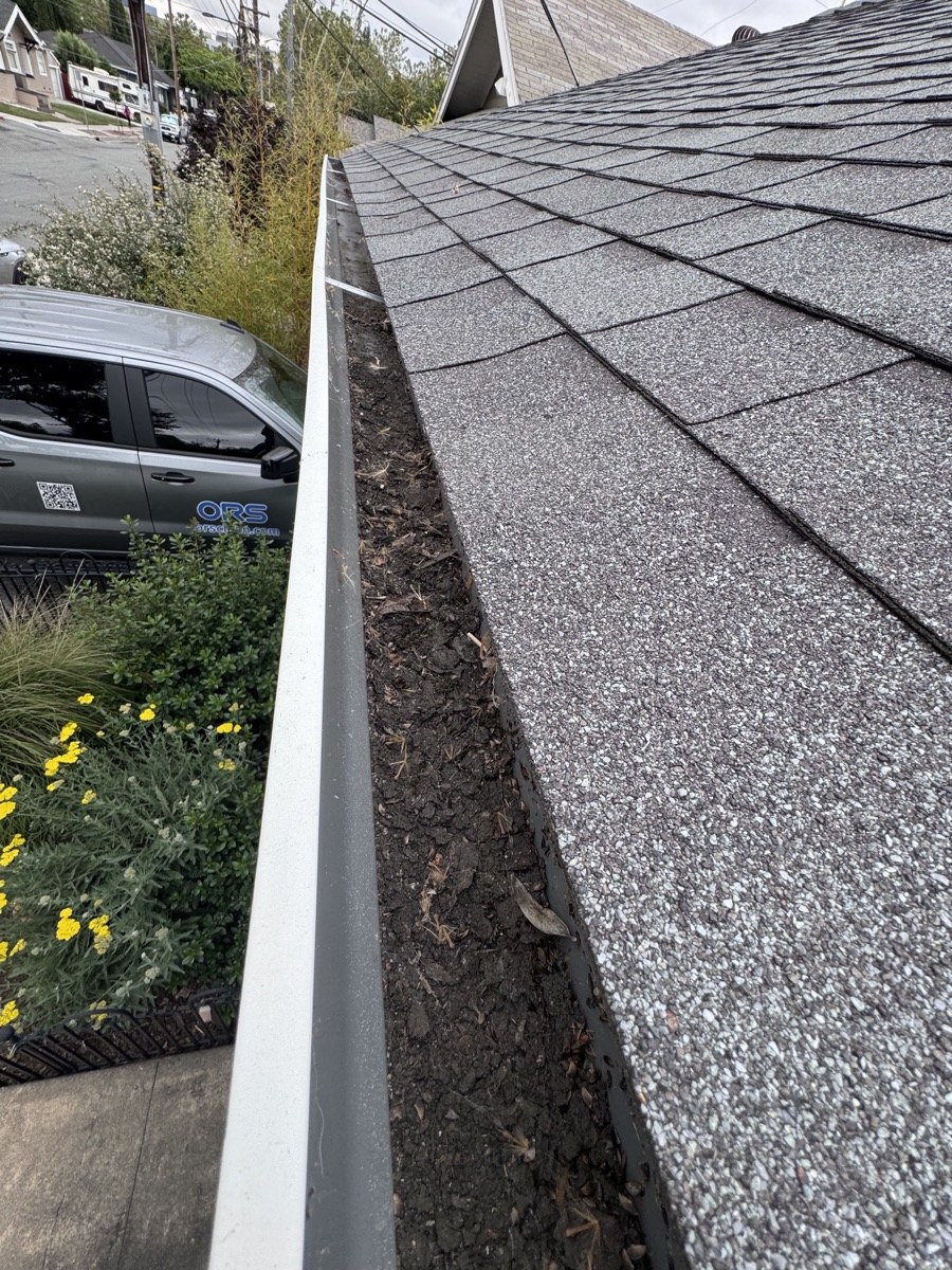 Gutters packed with leaves before cleaning — San Jose CA job