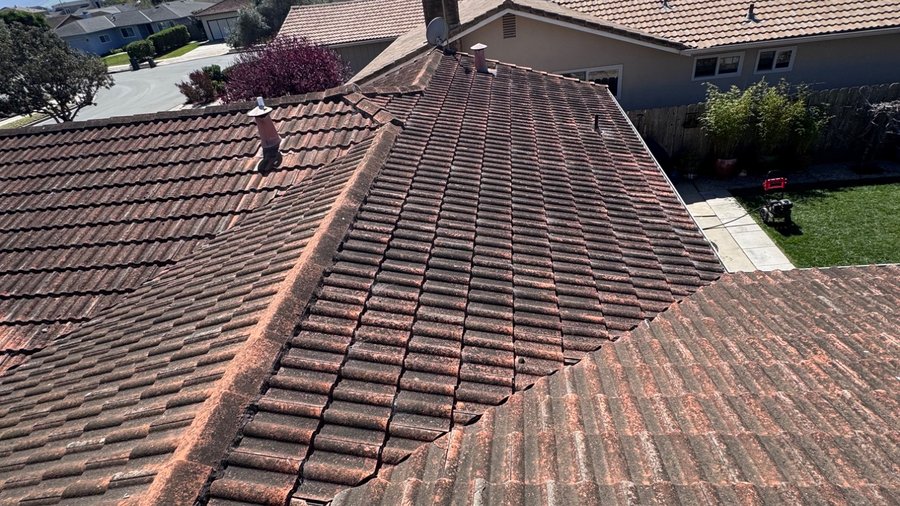 Roof Cleaning