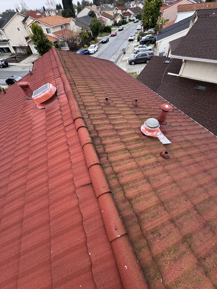 Roof Cleaning Before