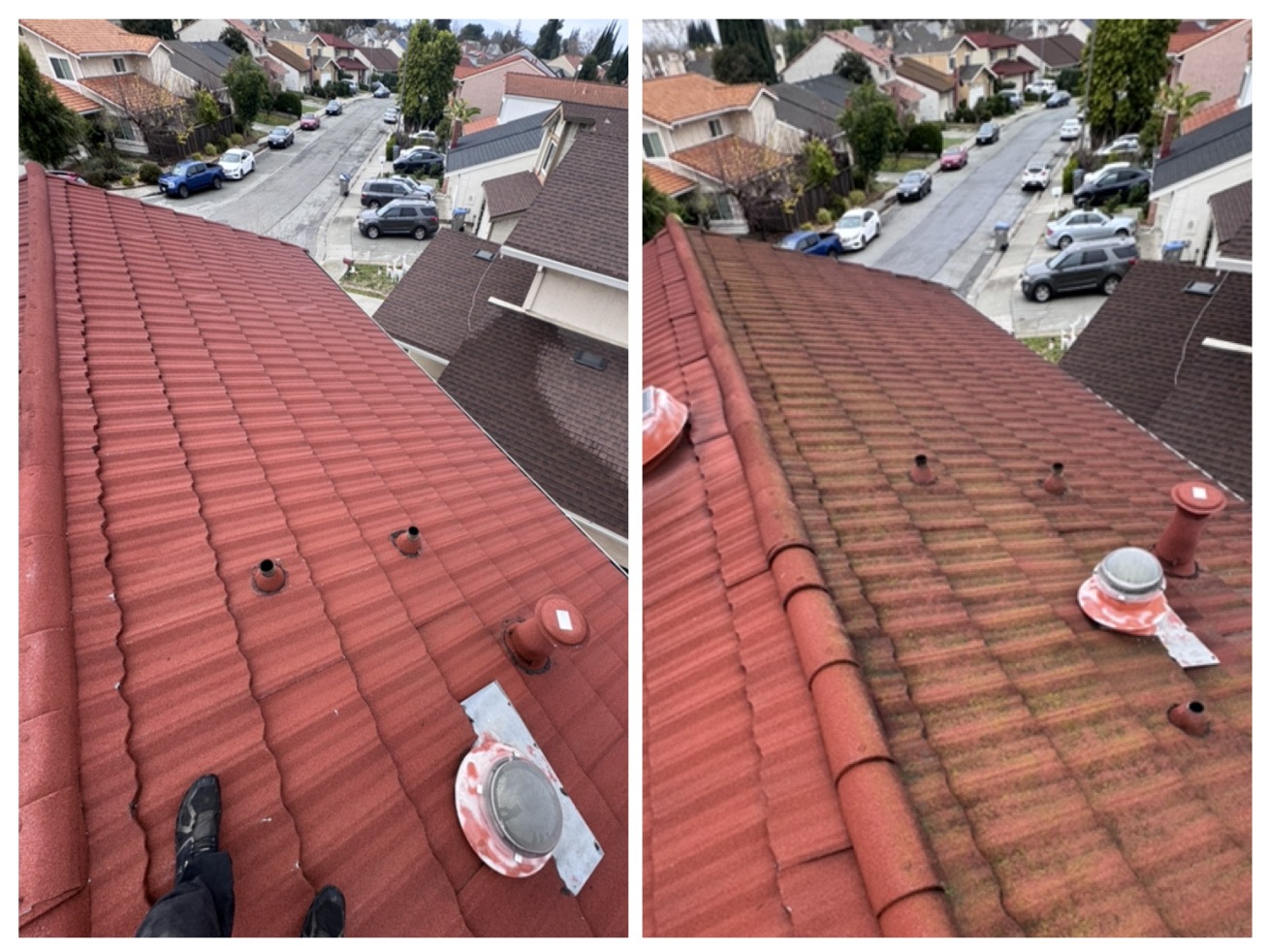 Roof Cleaning