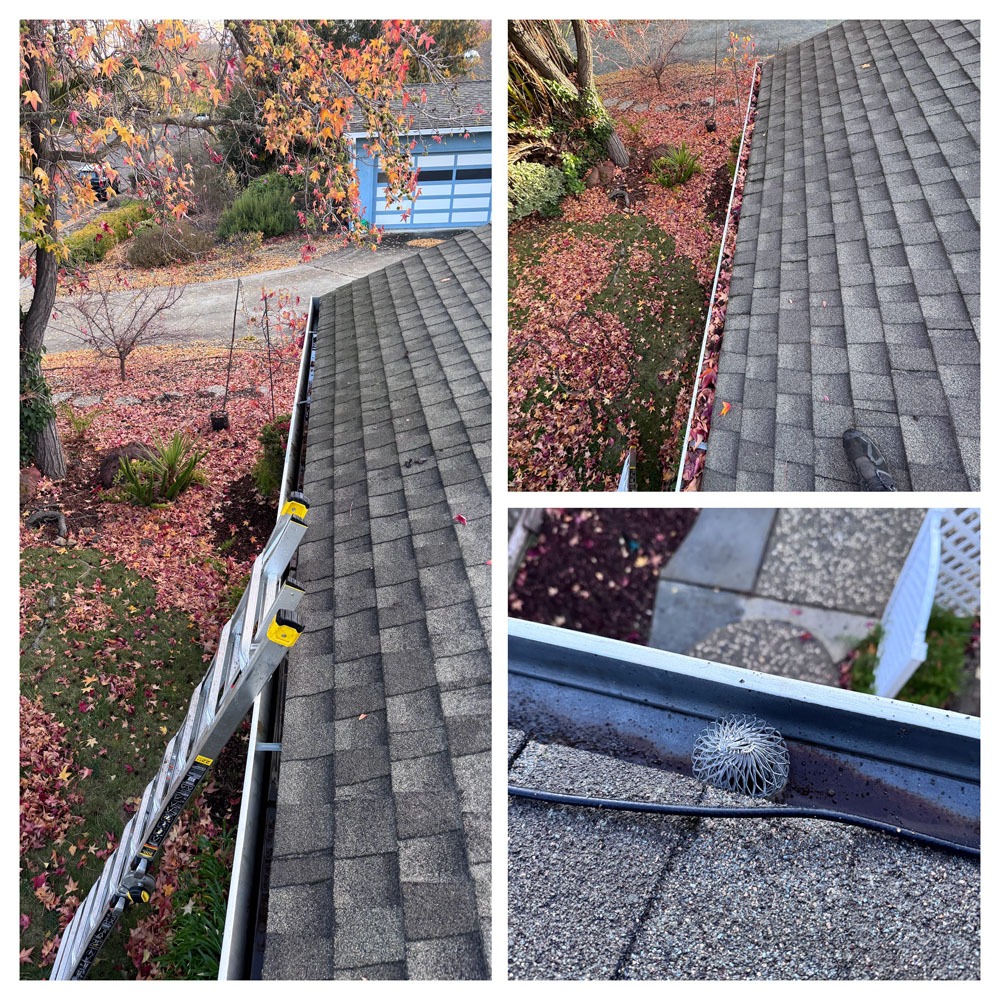 Gutter Cleaning