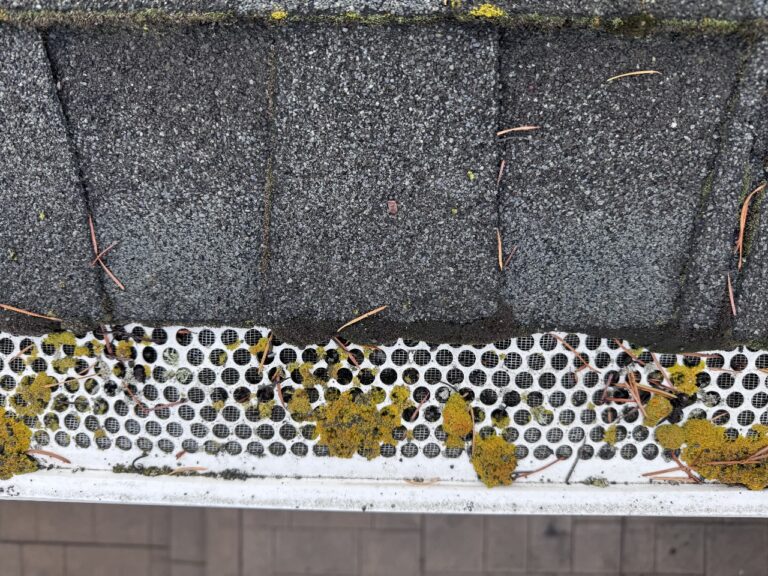 Gutter Cleaning