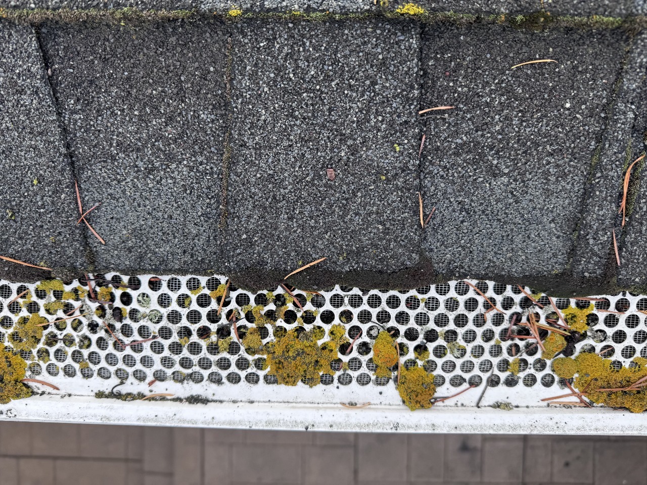 Gutter Cleaning