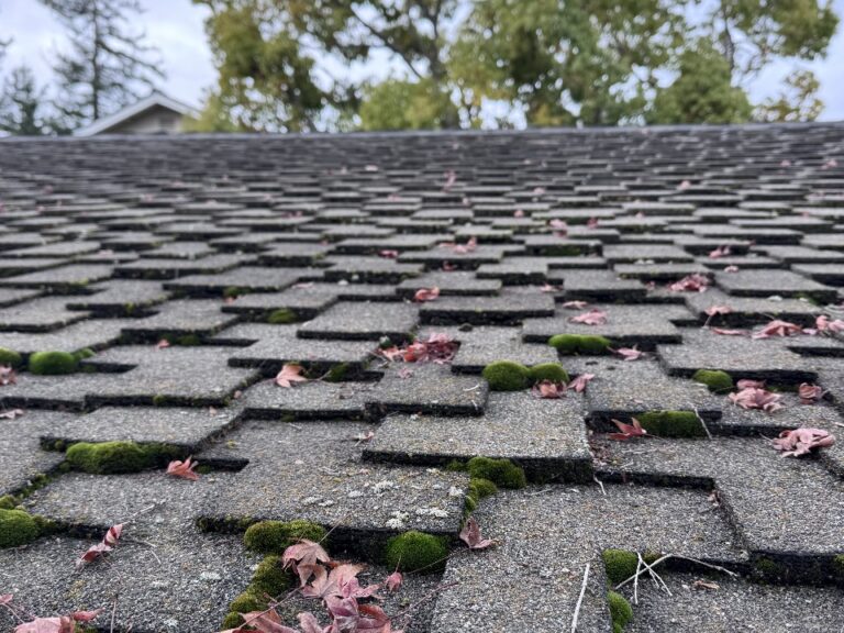 Is your roof putting your insurance at risk?