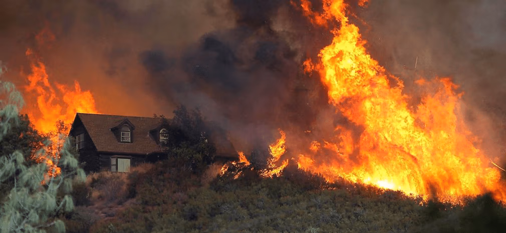 Wildfire