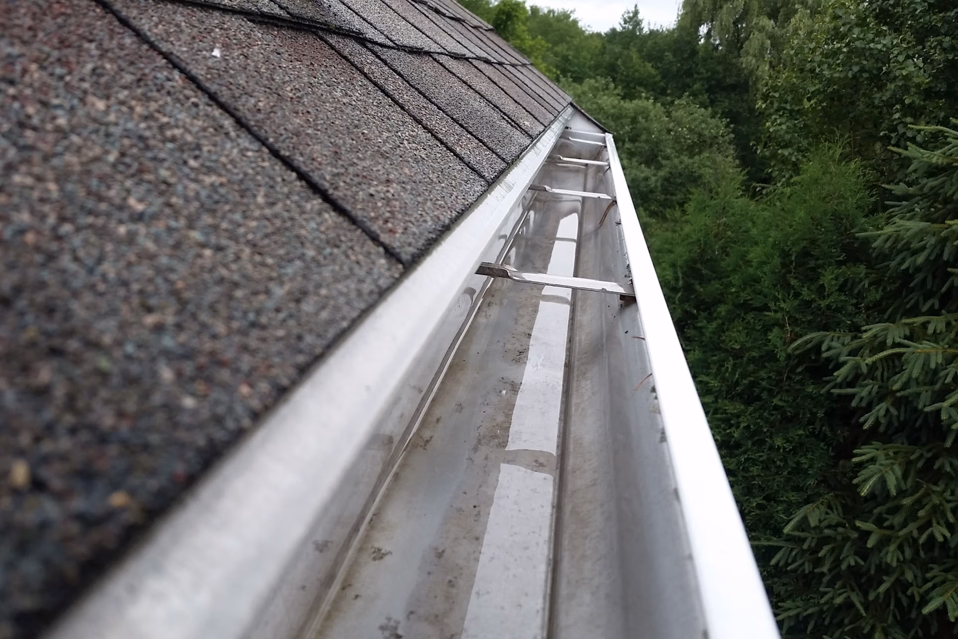 Gutter Cleaning