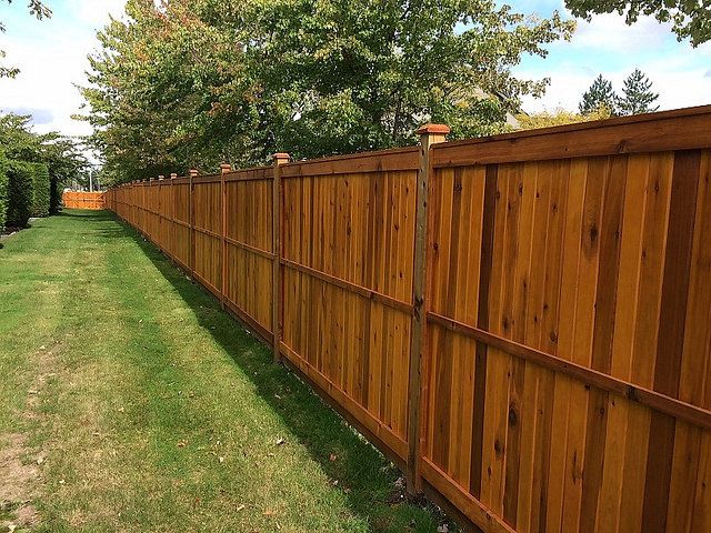 Fence staining