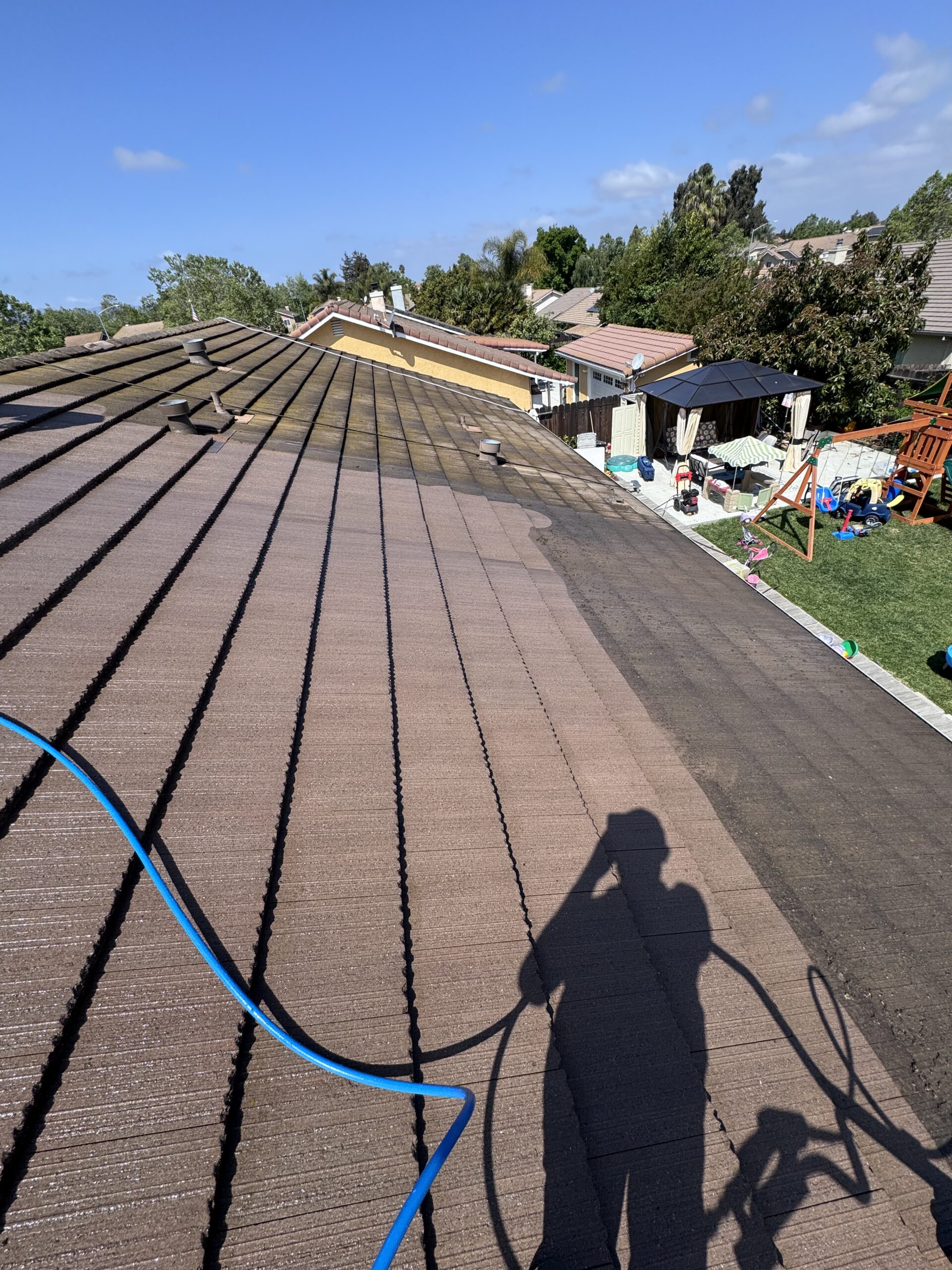 Roof cleaning