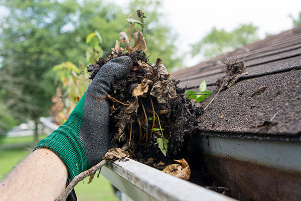 Professional gutter cleaning in Gilroy, CA by ORS Clean